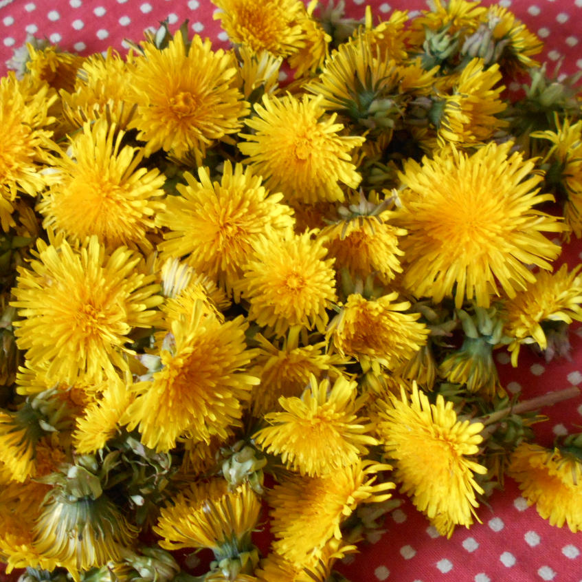 ein Duft nach Honig...