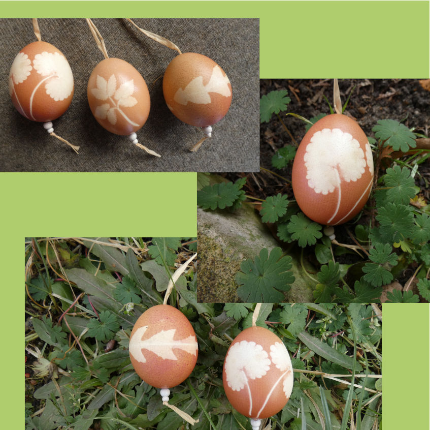 Frühlingsblatt auf´s Ei gebannt