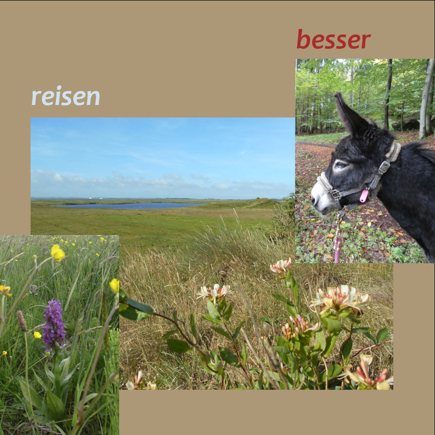 die Eigenheiten entdecken