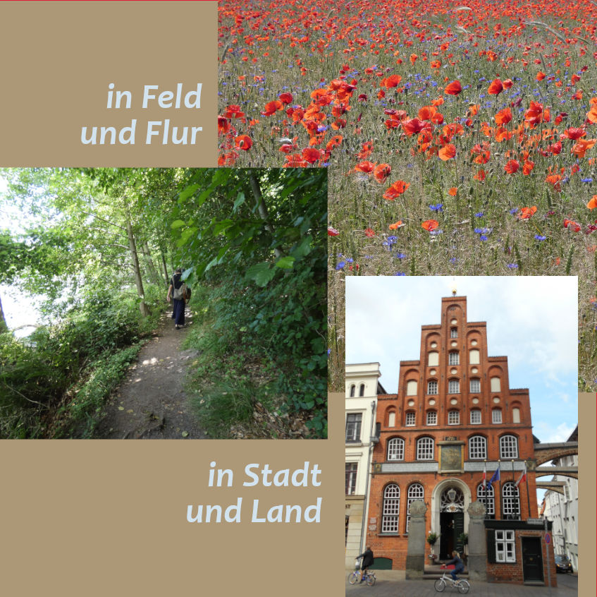 Stadt, Land, Fluss