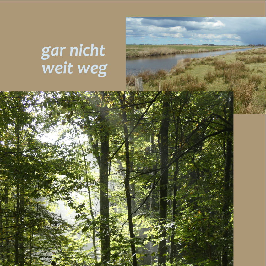 ob Wald oder Weite